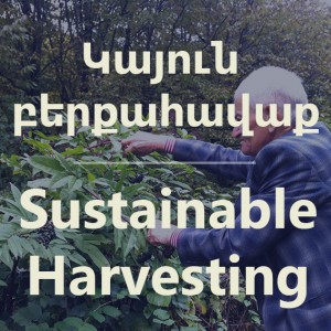 sustainable-harvesting